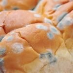 Ilustrasi roti berjamur