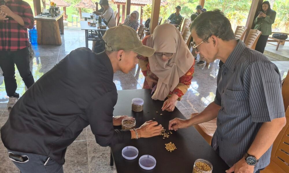 Pelatihan pengolahan kopi pascapanen untuk pegiat Desa Wisata Tinalah, Kulon Progo, yang menjadi bagian dari program Pengabdian kepada Masyarakat (PkM) akademisi UPN "Veteran" Yogyakarta, 22-23 Agustus 2026 (Foto: Arsip UPN "Veteran" Yogyakarta)