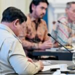 Menanti kelanjutan pembentukan Badan Pengelola Gambut dan Mangrove Nasional inisiasi Prabowo